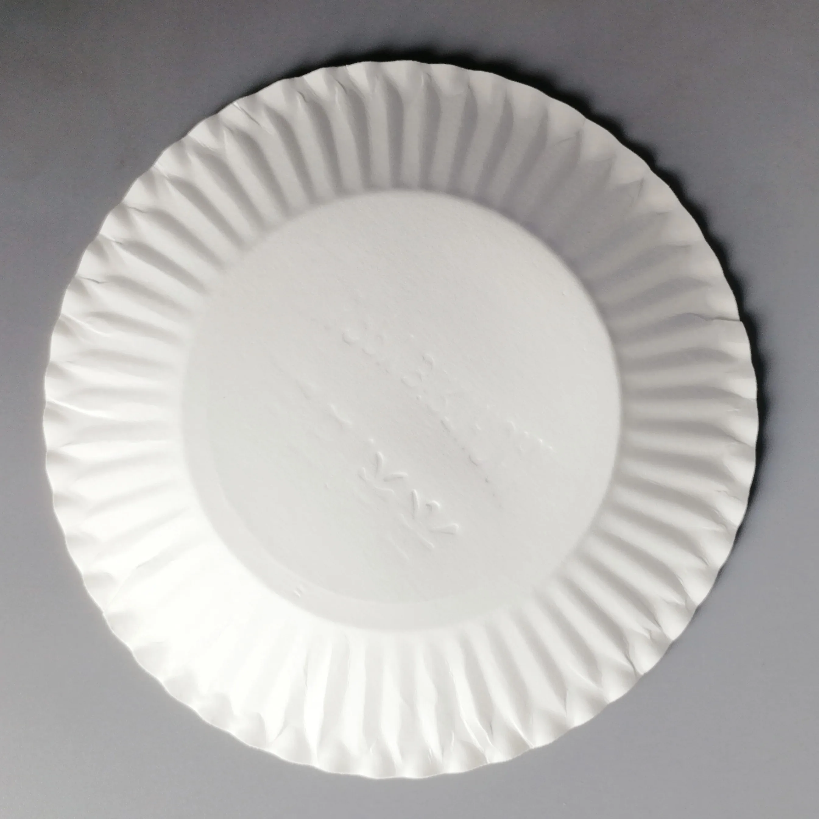 Paper Plate Disposable Cheap Bulk Dinner Plates Design Your Own Paper Plates Paper Dishes For