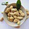 Hot Sale Raw Green Peanuts Inshell 9/11