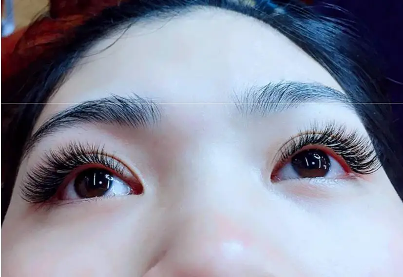 easy fan mega volume lashes extensions.jpg