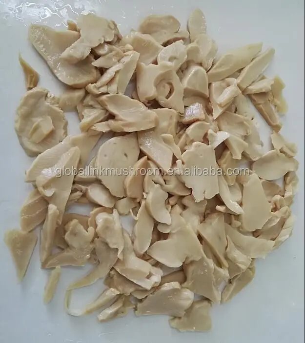 HC KING OYSTER MUSHROOM.jpg