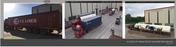 New CE Approved Electric Type Chinese Pellet Mill For Sale