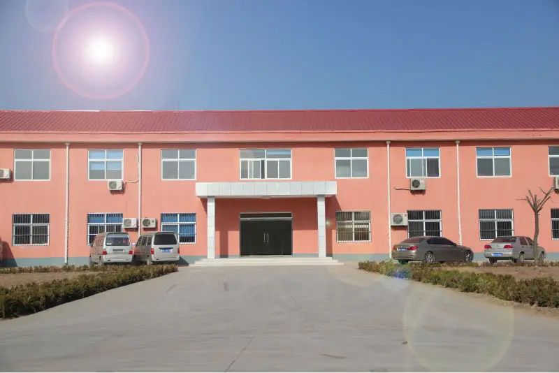 Hot sale ring die bird feed pellet making machine with price