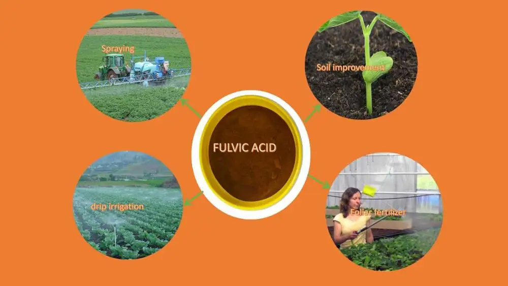 China supplier hot sale product CARVAL fulvic acid /humic acid type for fertilizer