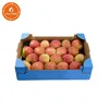 Fruit Carton Packing Box for Fresh Cut Fruit