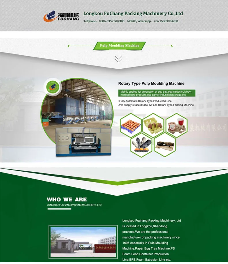 1Lewis +86 15863824208