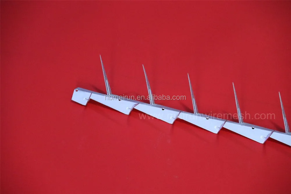 Wall Spike Fence Spike/galvanized Iron Wire/barbed Wire Razor Wire Mesh ...