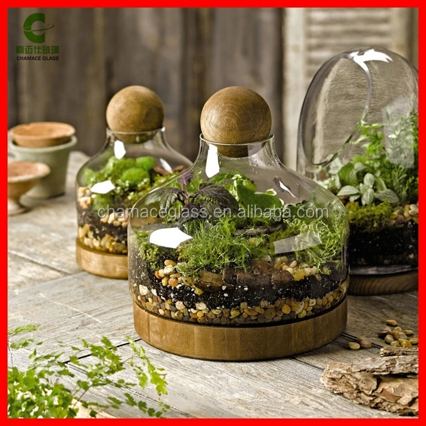 Handmade Glass Terrarium With Wood Base And Ball Lid Buy Glass