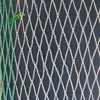 PE bird mist net catching bird netting,durable big bird screen mesh,windbreak anti bird netting