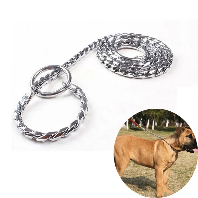 dog snake chain collar
