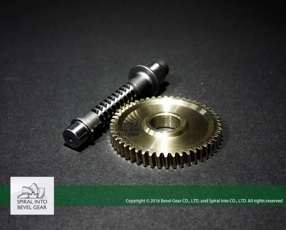 
High Quality Brass Worm Gear set for Speed Reducer 