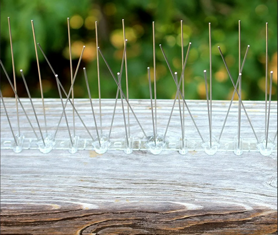 Bird roosting strips