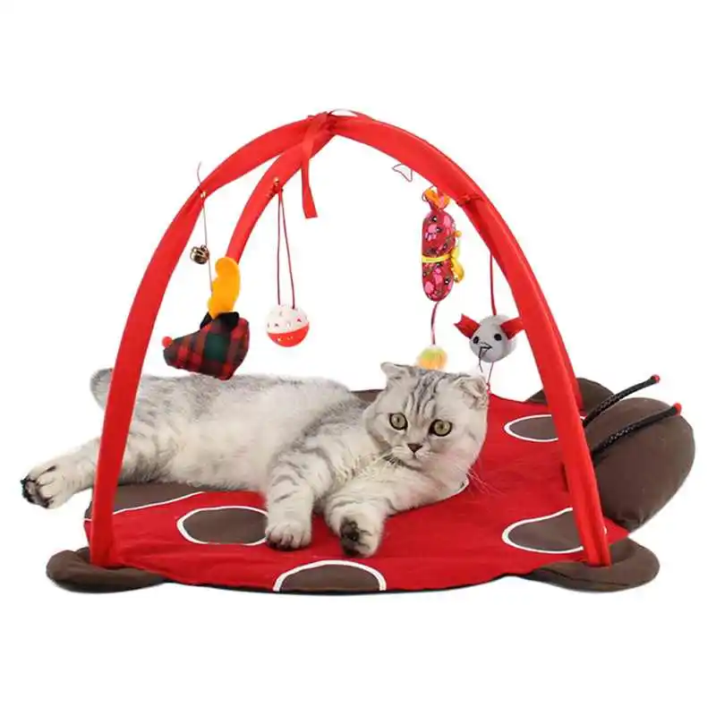 

Ladybug Tortoise Shape Funny Cute Folding Cat Bed Toys, N/a