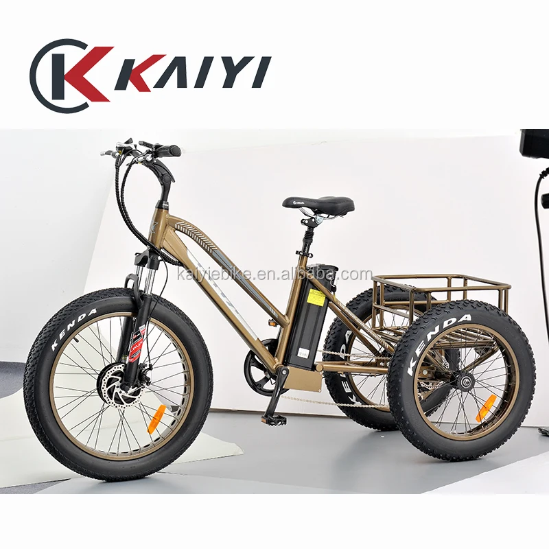 Kaiyi 48v 500w750w Cargo Delivery Power Front Hub Motor 7speed Fast Ebike 3 Wheel Electric