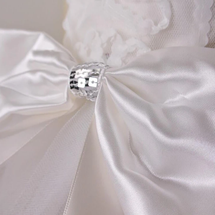 dog Wedding Dress-2.jpg