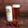 Looking China JINBOSHI Beer Distributor For Sale