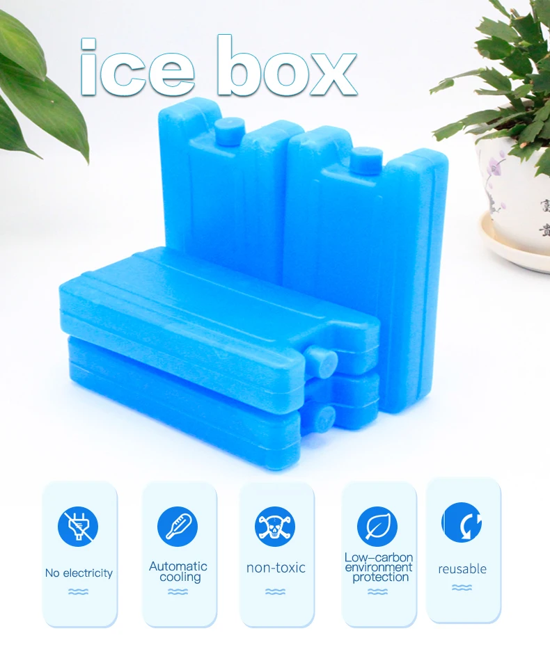 Promotion Custom Hot Cold Pack Cool Pack Cooling Pack Food Insulated