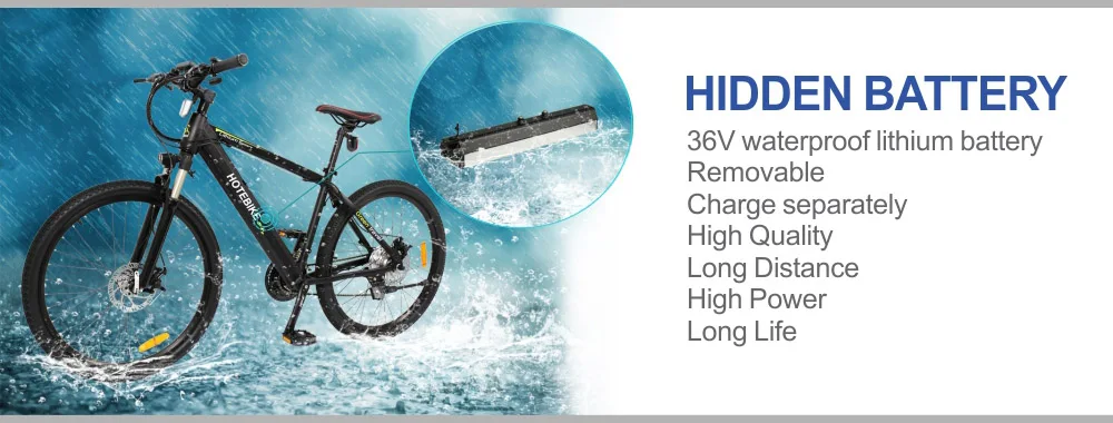 ebike (1).jpg