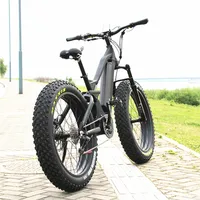 

China Manufacturer fastest electric fat bike Europe electric with factory direct sale price