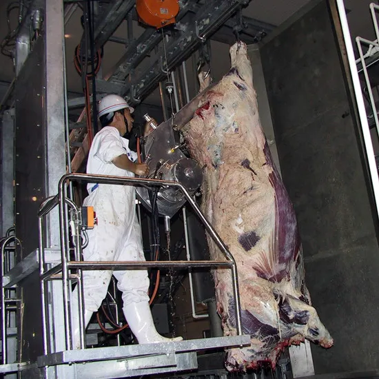 Islamic buffalo meat cutting machine for cattle slaughtering slaughterhouse