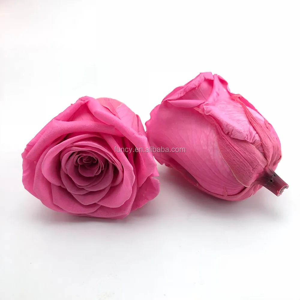 Wholesale Grade a 70 Colors Best Quality Size 5 6 Cm Real Natural Eternal Preserved Roses Buy Preserved Roses Eternal Rose Wholesale Preserved Roses Product On Alibaba Com