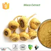 Chinese herb free sample physical strength enhancement macamides macaenes maca powder maca herb extract