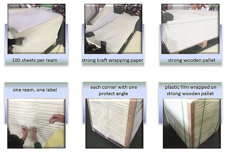 China Supplier Well Coated 180gsm-600gsm Duplex Board Price