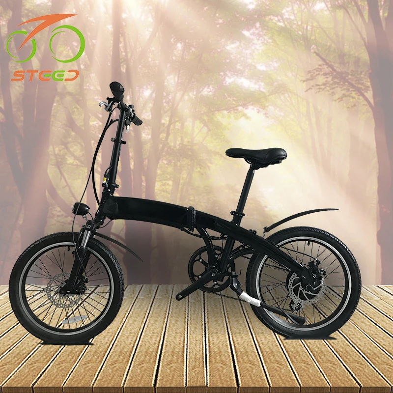 easy try electric bike