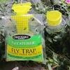 New Arrival Traps Plastic Disposable Fly Trap Outdoor Garden Fly Catcher Bug Insect Killer Pest Control Products