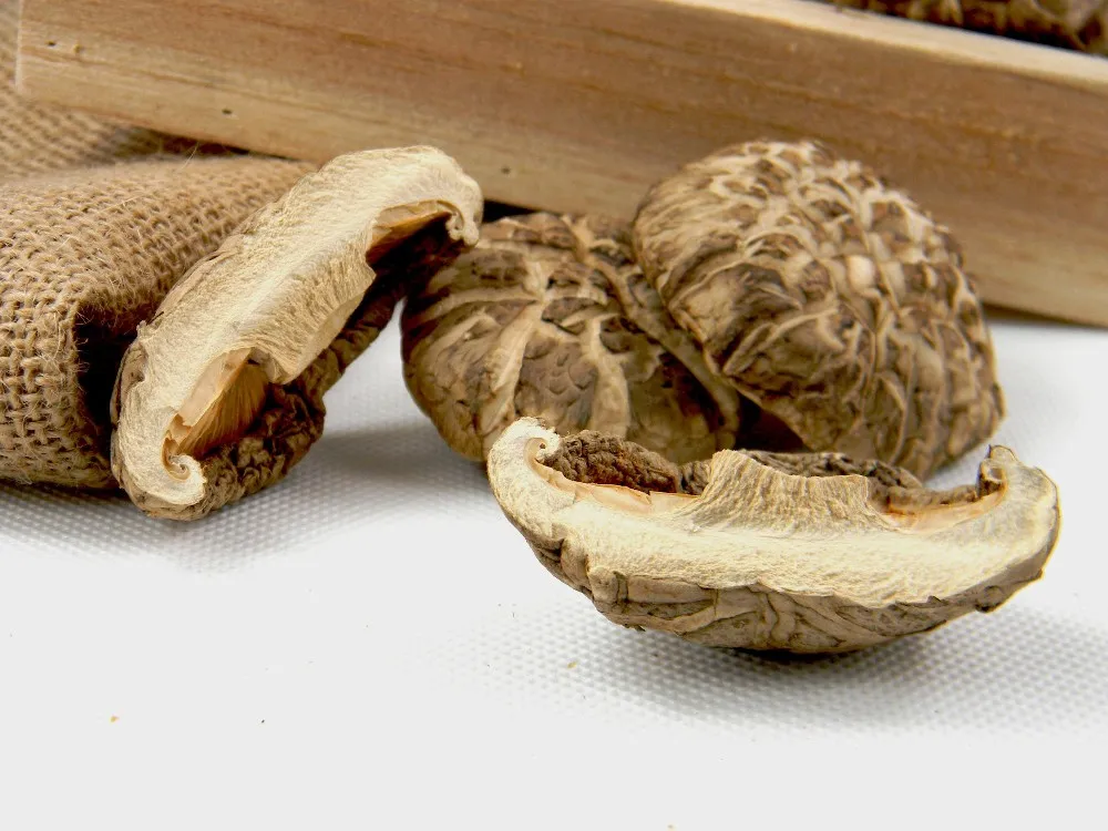 factory direct dried lentinula edodes shiitake mushroom price