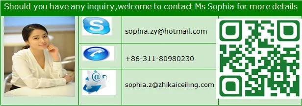 contact  shijiazhuang zhikai sophia.jpg