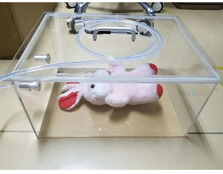 Customized size Animal Anesthesia Induction Chamber for different animal