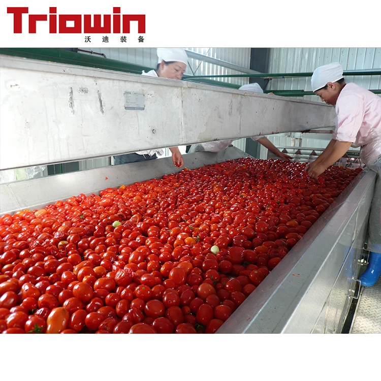 High Quality Automatic Tomato Juice Making Machine Ketchup Production