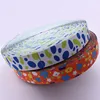 Factory Customizes Eco-friendly printed nylon webbing