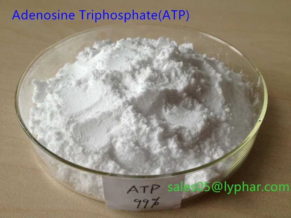 Best price for pure Adenosine Triphosphate Disodium/ATP