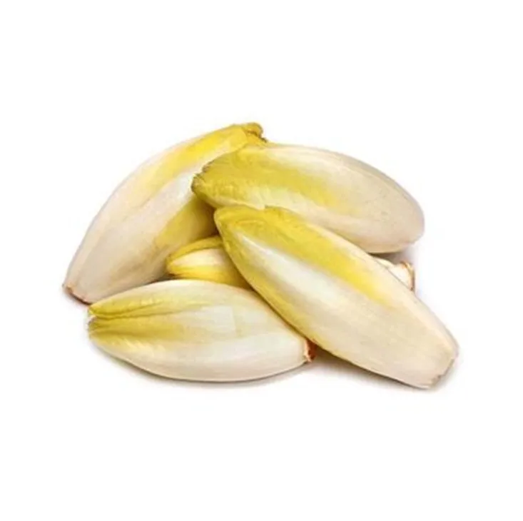 free sample for chicory root extract inulin powder for