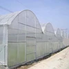 quality HDPE bee net/ bird net/ anti hail net