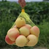 pe plastic fresh fruit package high quality extruded plastic tube netting for fruit