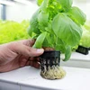 Hydroponic PVC Pipe Tube For Lettuce/Spinach/Leek/Celery/Mustard/Parsley/Cabbage