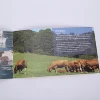 Hot Sale Binding Hardcover Book Printing Shanghai