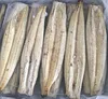 Unagi Shirayaki, High Quality Frozen White Roasted Eel boiled eel