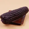 Non GMO Purple Glutinous Corn on Cobs
