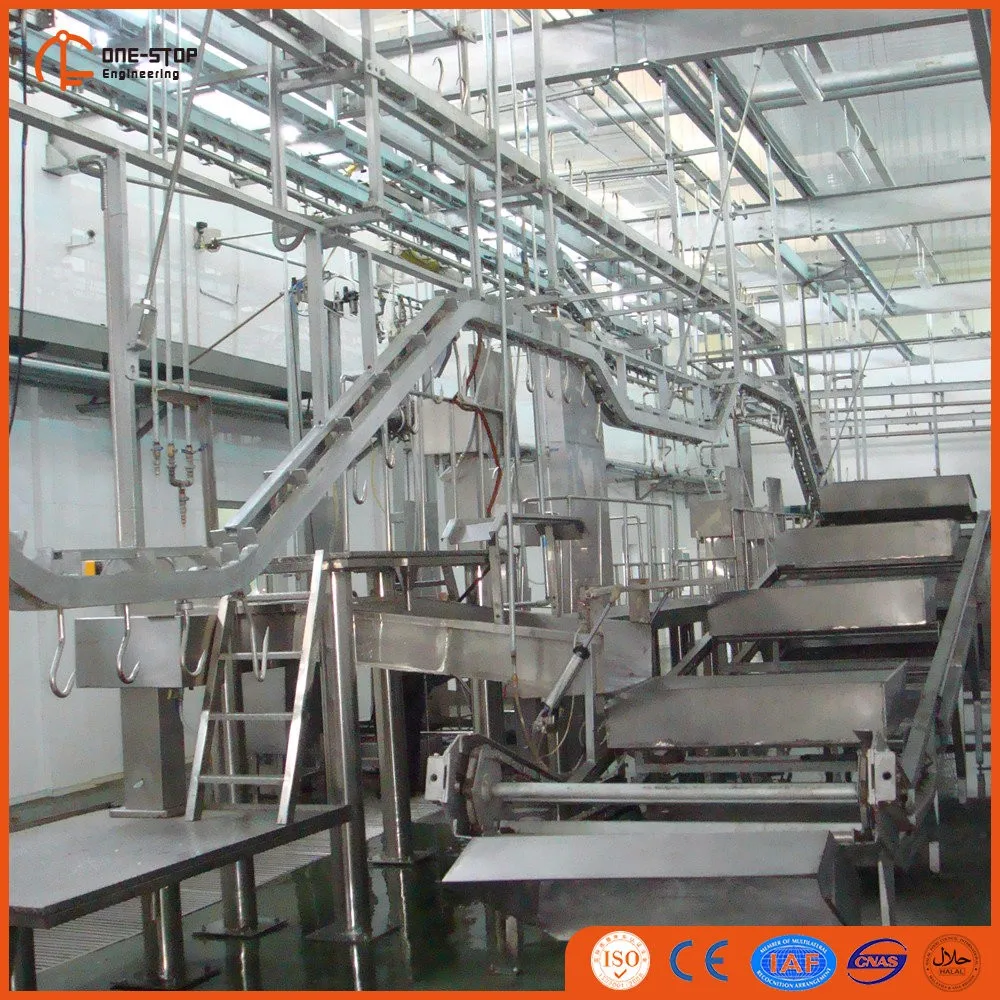 modern_halal_approved_cow_slaughter_house_with_turnkey_project