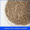 quality cumin seeds wholesale