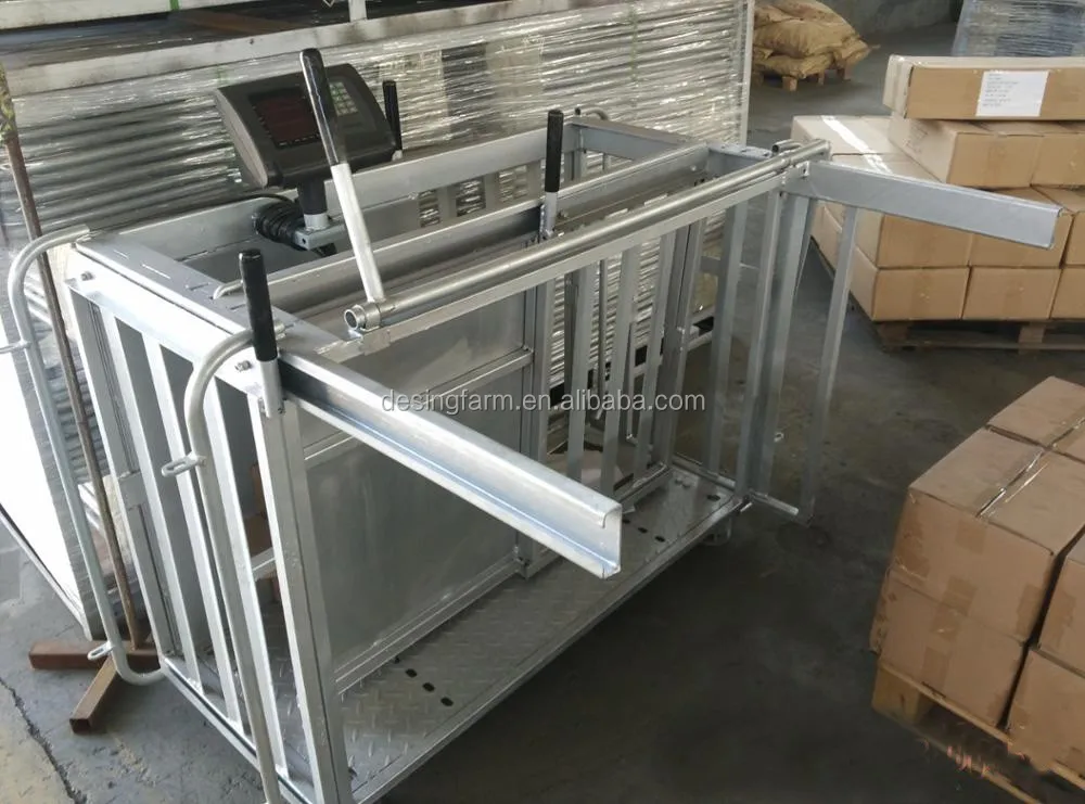 best workmanship sheep handling system factory direct supply favorable price-2