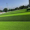 Golf carpets synthetic lawn artificial grass