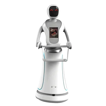 2019 New Humanoid Intelligent Robot Waiter Programmable - Buy ...