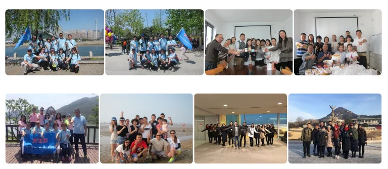 Food Grade Preservative Potassium Sorbate Price