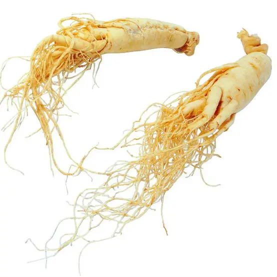 
High Quality Natural Plant Korean Red Ginseng Capsules Quality data