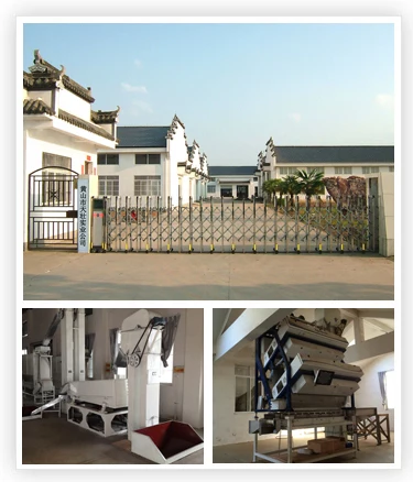 Huangshan High mountain factory competitive price chunmee green tea 41022
