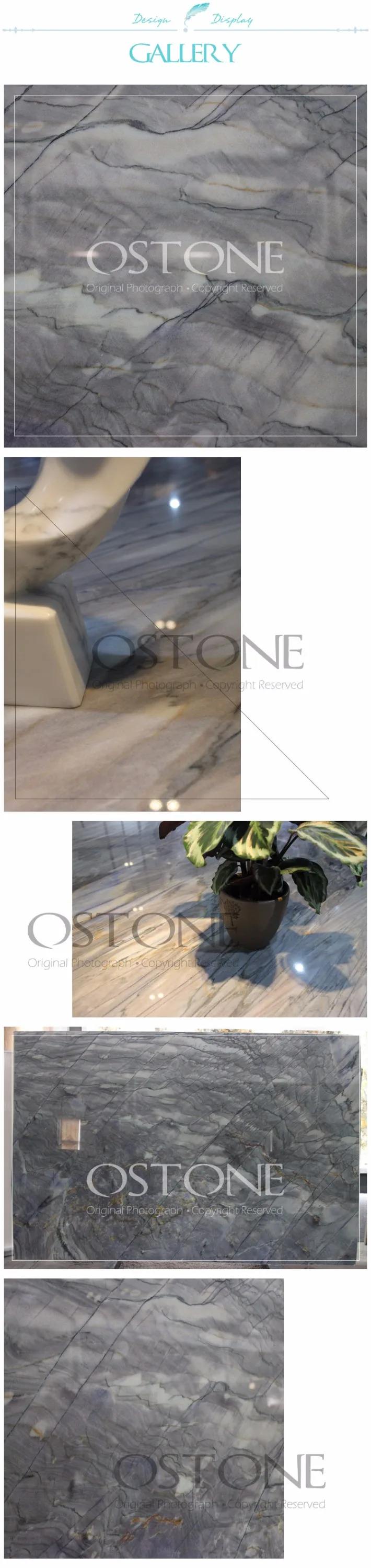 Competitive Wall / Floor Florida Green A Quartzite Price For Slab Tiles